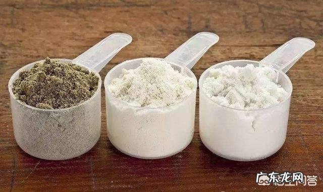 健身运动人群蛋白粉什么时候喝