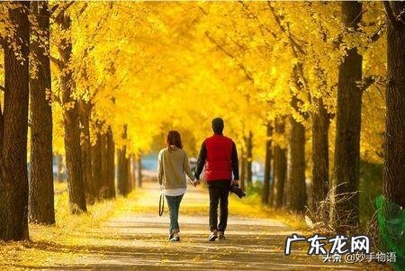 30岁的中年男人应该过怎样的生活? 中年男人的一生该怎么度过