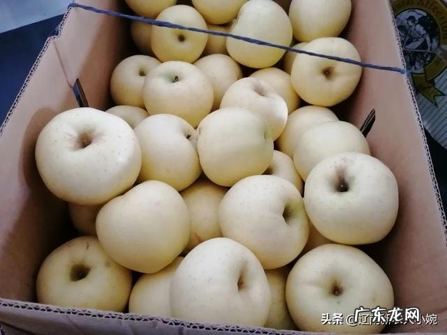 种植小麦怎么才能亩产800公斤？