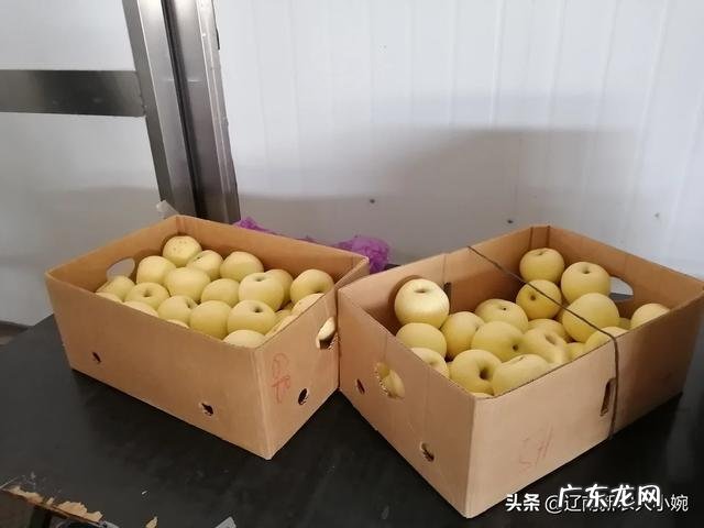 种植小麦怎么才能亩产800公斤？