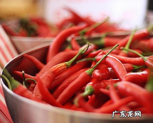 #营养美食季#秋天哪些食物最有营养?