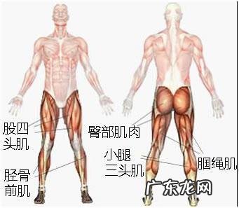 为什么说局部减肥不可以?