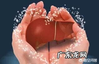 喝补身体中药期间能喝酒吗?