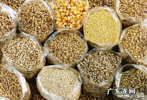 春节期间，应该怎么做才能避免三高以及变胖？