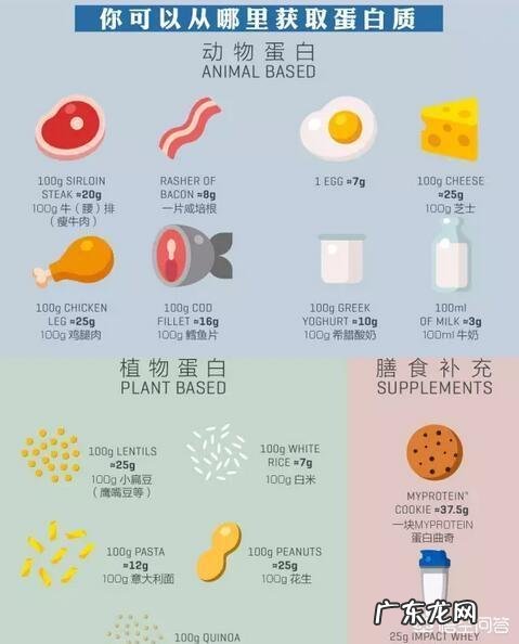 新手健身需要补剂嘛像蛋白粉,肌酸这些