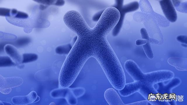 孩子染色体10号缺失会怎么样