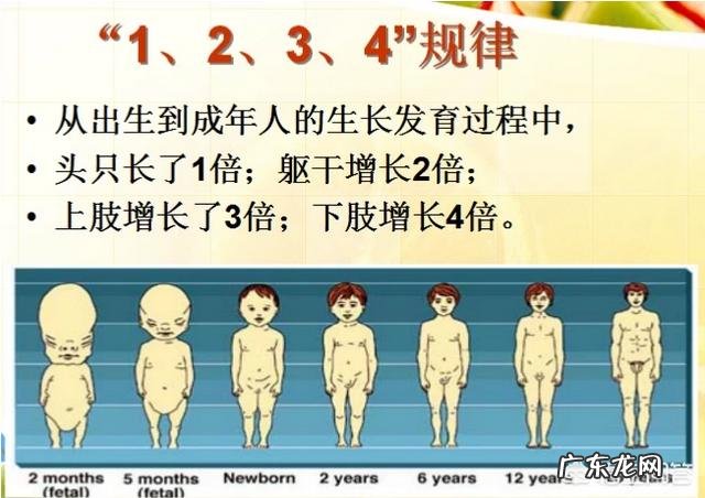 夏季宝宝容易感染细菌,容易生病,该怎么做?