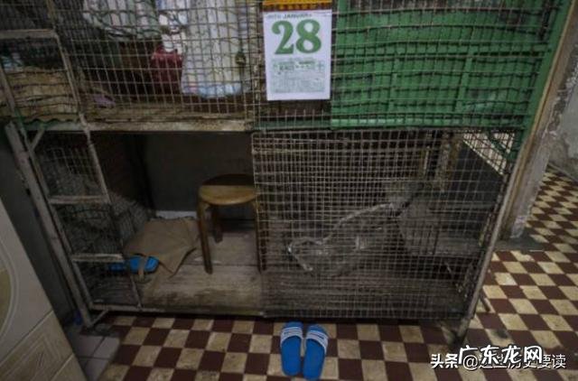 都说吃清淡对身体好请问广东人是否比川湘等重口味地区人更长寿?