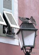 脂肪型大饼脸真的能靠按摩瘦下来吗？有人成功过吗？