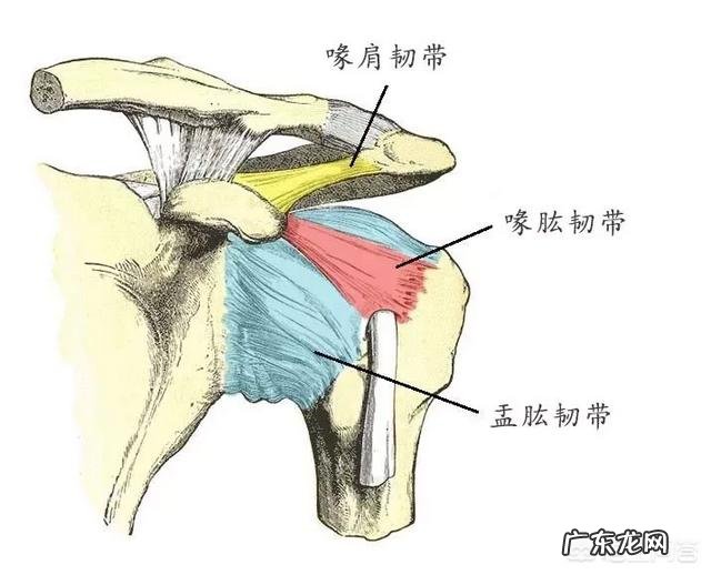 坚持瑜伽“开肩”,身体会发生怎样的变化?