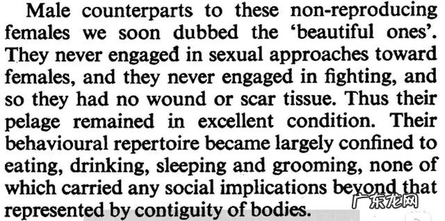 孩子总是写不完作业怎么办 孩子作业老是做不完,这该怎么办?