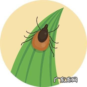 老年人春日外出踏青应该做好哪些防护?