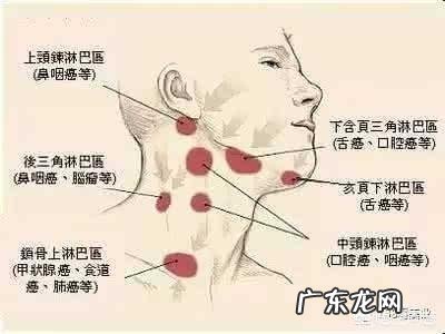 体形偏瘦有胃炎的人吸收不好,什么样的体育运动比较适合?
