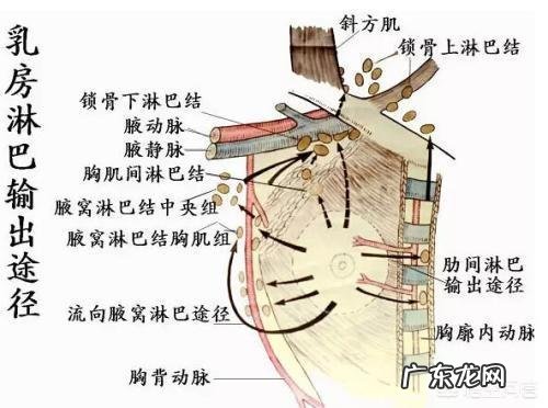 体形偏瘦有胃炎的人吸收不好,什么样的体育运动比较适合?