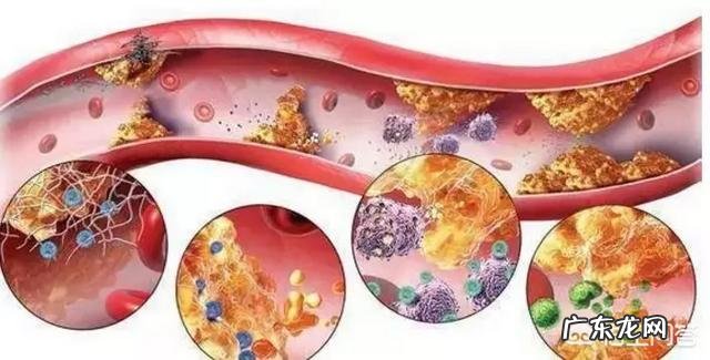 ppt表格如何平均分布各列