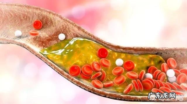 ppt表格如何平均分布各列