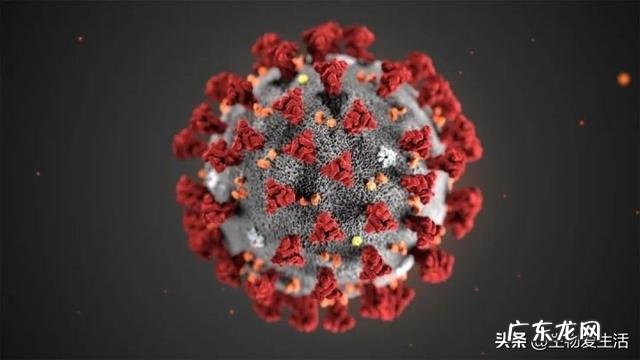 如何解决人类病毒感染问题