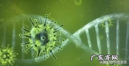 如何解决人类病毒感染问题