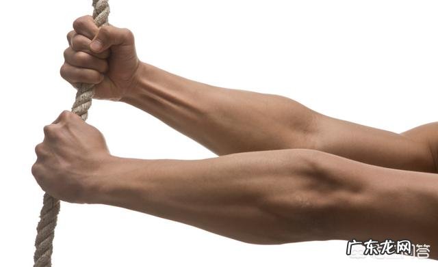 健身增肌你需要摄入多少热量?