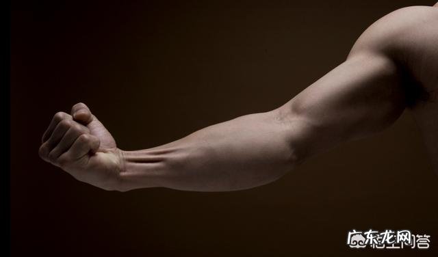 健身增肌你需要摄入多少热量?