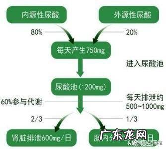 高尿酸血症的根本原因是什么? 尿酸415算不算高尿酸