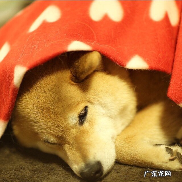 赵奕然九宫格减肥法口诀是什么