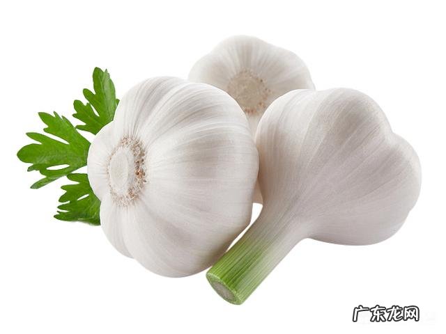 胃里有幽门螺旋杆菌,食欲就会减退吗