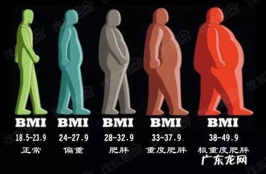 高血压、高血脂、动脉硬化和冠心病几者之间有什么关系?