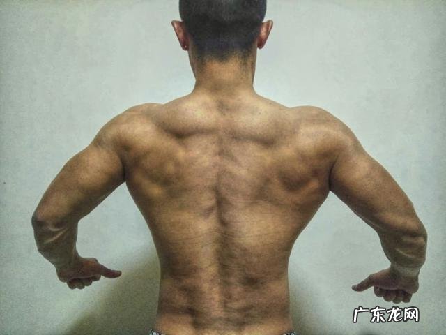 对于健身你有什么话想对刚入门的新手说?