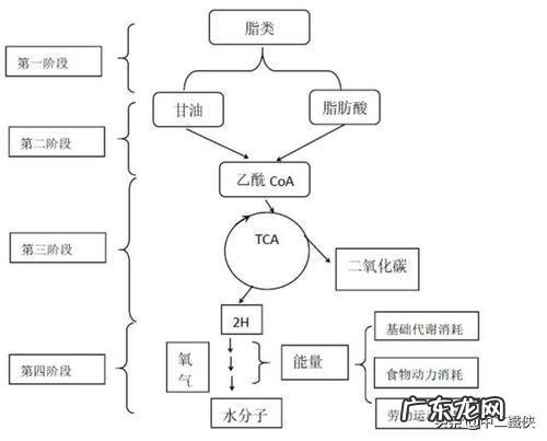 有氧运动5分钟能减肥吗 有氧运动一定要做够30分钟才能减肥吗?