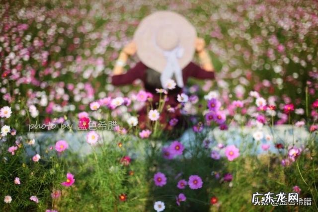 靠节食减肥靠谱吗哪种减肥效果好还不反弹