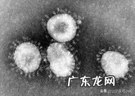 谁能用科学解释一下为何有的人尽管密切接触而不会感染冠状病毒