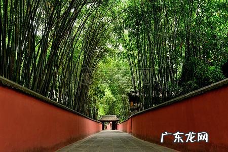 古往今来,人们对杜甫的评价是怎样的?