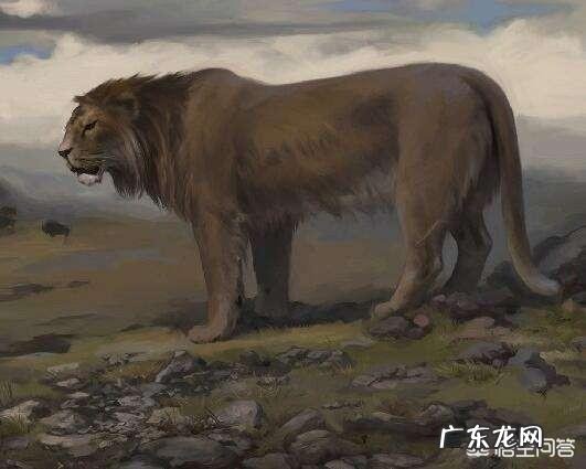 最大的狮子有多大包括史前的