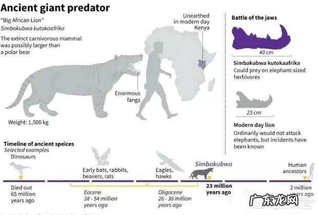 最大的狮子有多大包括史前的