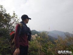 为什么大多男人结婚后体重一直上升是吃的吗