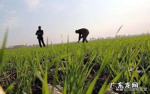 为什么适宜的温度对生命的生存生长至关重要？