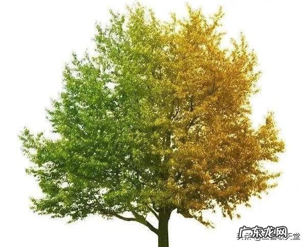 为什么适宜的温度对生命的生存生长至关重要？