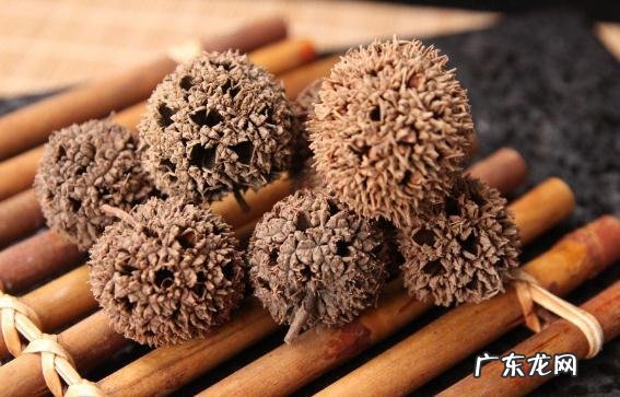 中药路路通有什么zhi疗作用?