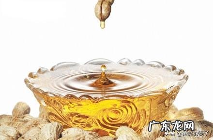 生活中花生油、芝麻油、橄榄油、玉米油、调和油、茶籽油哪种好？