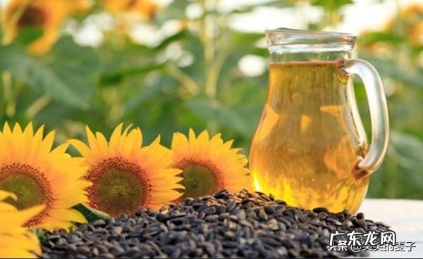 生活中花生油、芝麻油、橄榄油、玉米油、调和油、茶籽油哪种好?