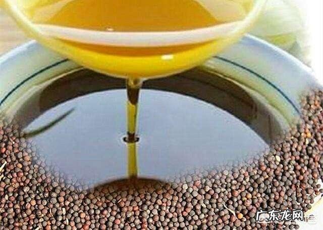 生活中花生油、芝麻油、橄榄油、玉米油、调和油、茶籽油哪种好?