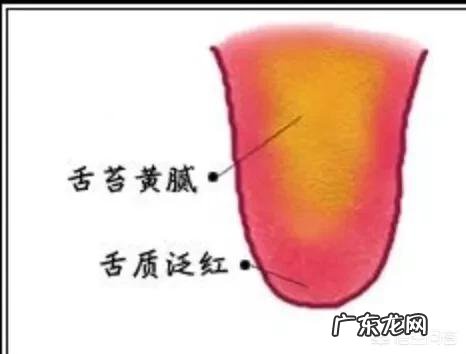 脾虚湿重,吃生姜能去湿吗?