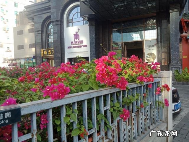 轻断食两天怎么不排便了?