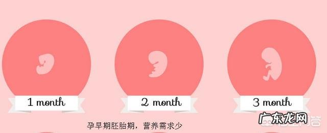 孕妈肚子饿,会影响到胎儿吗? 孕妇肚子老饿对胎儿有影响吗