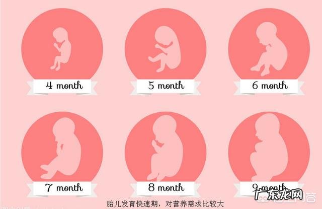 孕妈肚子饿,会影响到胎儿吗? 孕妇肚子老饿对胎儿有影响吗