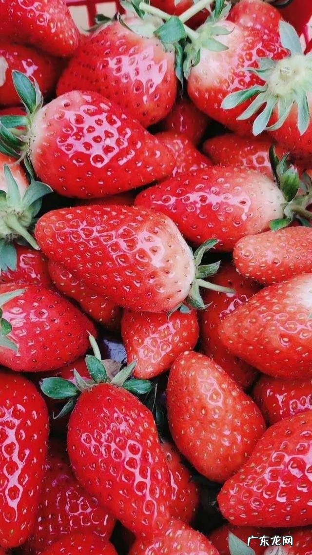 孕妈肚子饿,会影响到胎儿吗? 孕妇肚子老饿对胎儿有影响吗