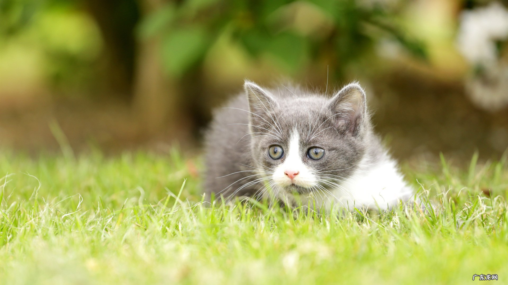 1米62标准体重是多少?