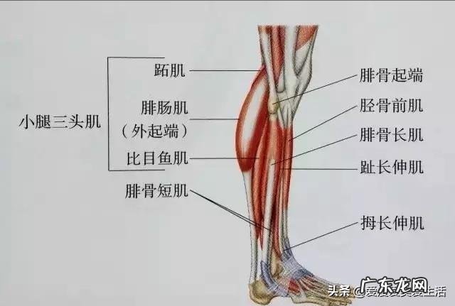 三寸金莲是怎样弄出来的?