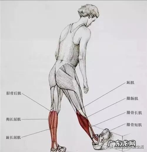 三寸金莲是怎样弄出来的?